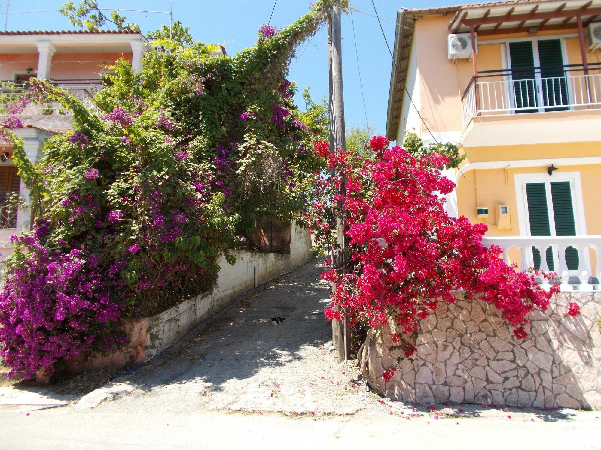 Kavos Panorama Complex Aparthotel Exterior photo